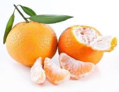 Ochucovací pasta Mandarinka Lea, 3,5 kg (pro ovocnou zmrzlinu)